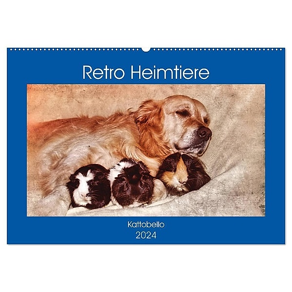 Retro Heimtiere (Wandkalender 2024 DIN A2 quer), CALVENDO Monatskalender, Kattobello