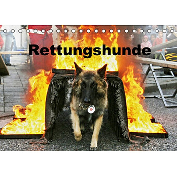 Rettungshunde (Tischkalender 2022 DIN A5 quer), Ulf Mirlieb