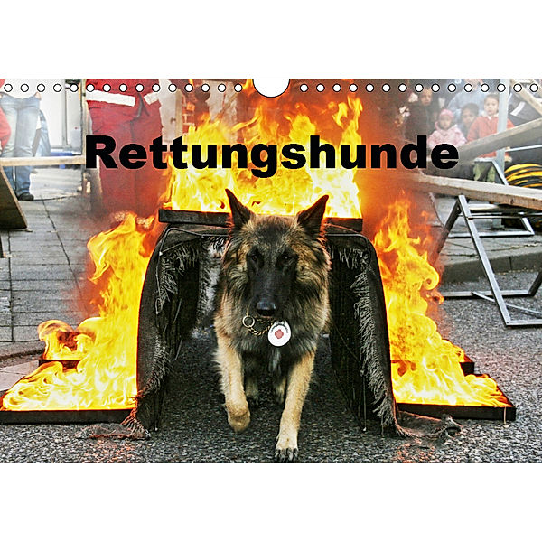 Rettungshunde (Wandkalender 2019 DIN A4 quer), Ulf Mirlieb