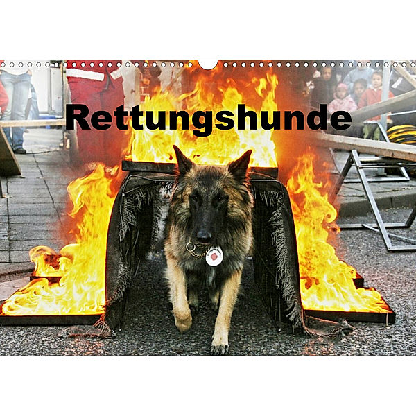 Rettungshunde (Wandkalender 2023 DIN A3 quer), Ulf Mirlieb