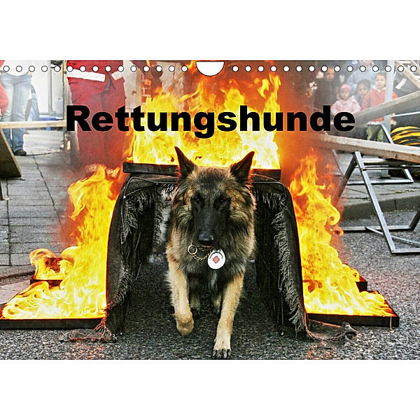 Rettungshunde (Wandkalender 2023 DIN A4 quer), Ulf Mirlieb