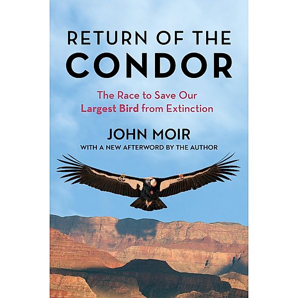 Return of the Condor, John Moir