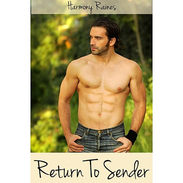 Return To Sender (BBW Soldier Romance, #1) / BBW Soldier Romance, Harmony Raines