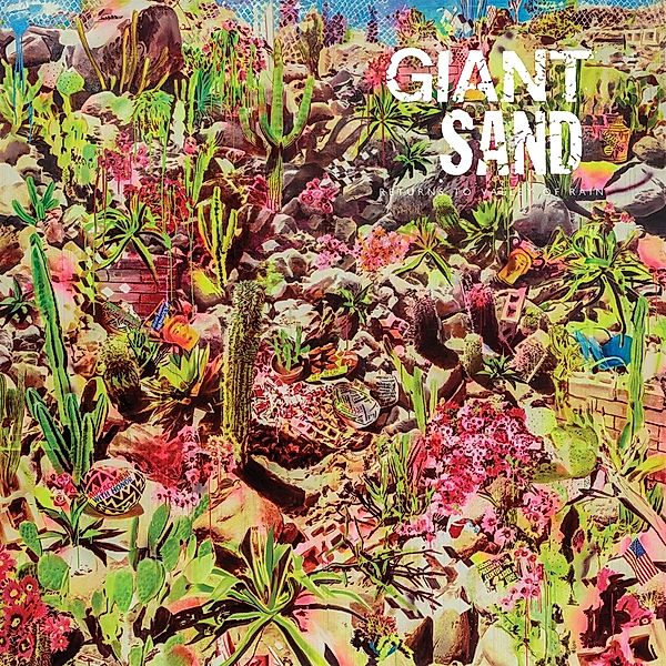 Returns To Valley Of Rain (Vinyl), Giant Sand