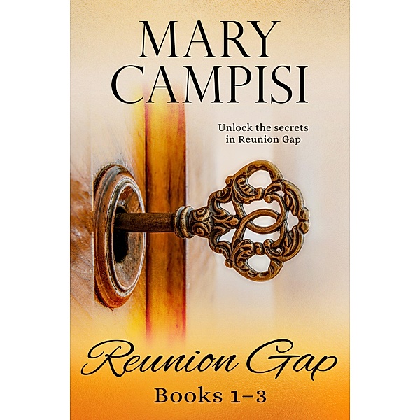 Reunion Gap Boxed Set / Reunion Gap, Mary Campisi