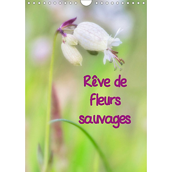 Rêve de fleurs sauvages (Calendrier mural 2021 DIN A4 vertical), © Clemens Stenner