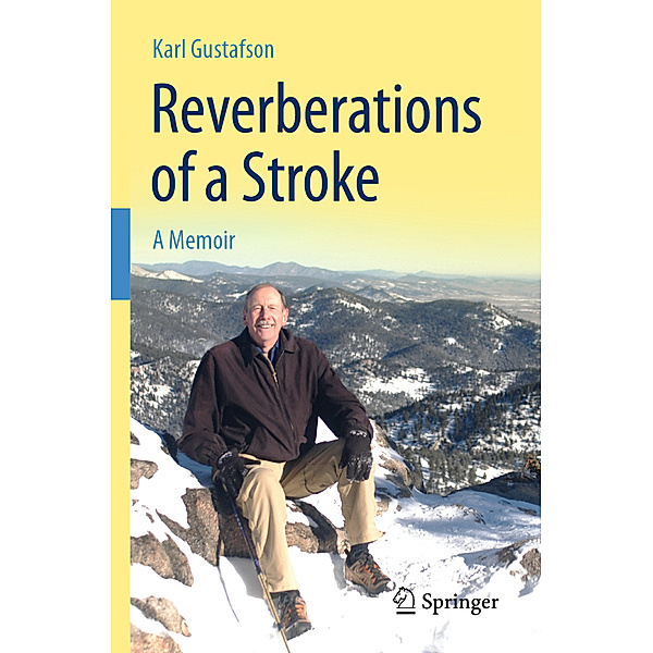 Reverberations of a Stroke, Karl Gustafson