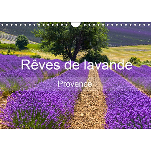 Rêves de lavande - Provence (Calendrier mural 2021 DIN A4 horizontal), Juergen Feuerer