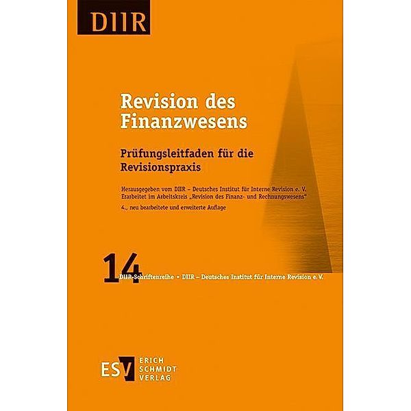 Revision des Finanzwesens, DIIR - Arbeitskreis "Revision des Finanz- und Rechnungswesens"