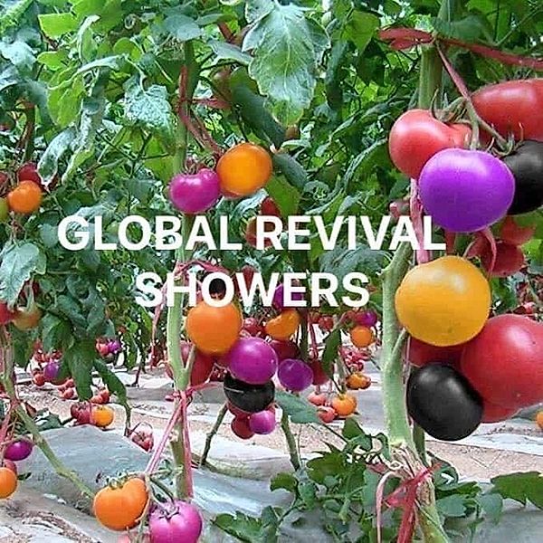Revival Showers, Prisy Paul