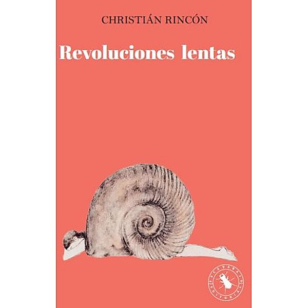 Revoluciones lentas, Christian Rincón