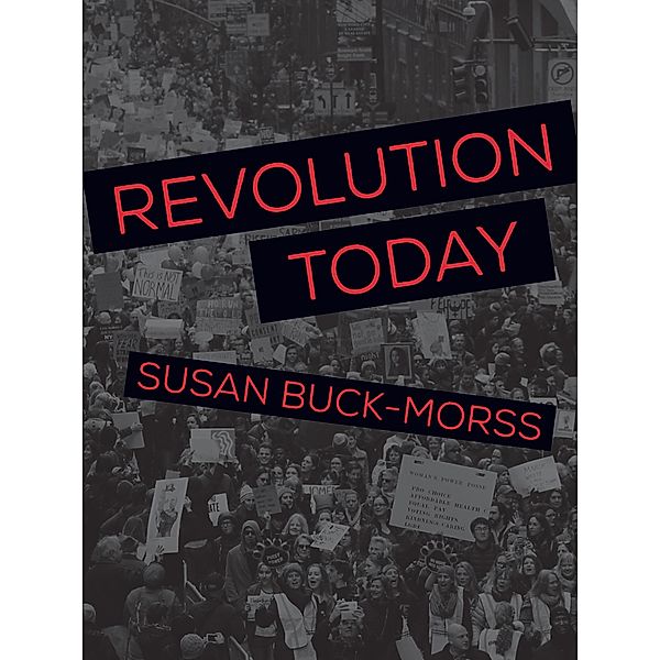 Revolution Today, Susan Buck-Morss