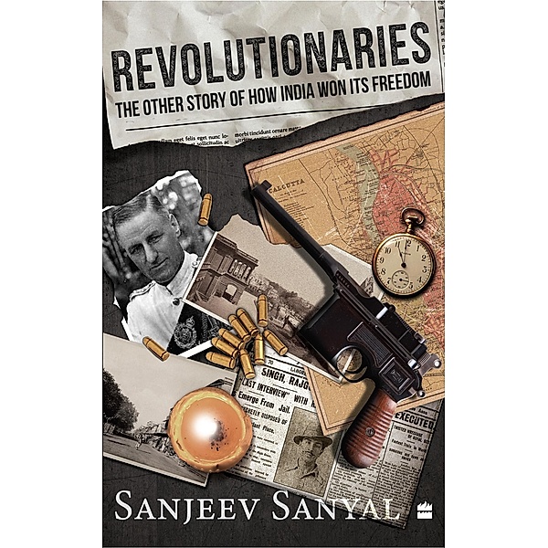 Revolutionaries, Sanjeev Sanyal