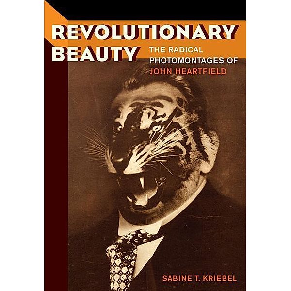 Revolutionary Beauty, Sabine T. Kriebel