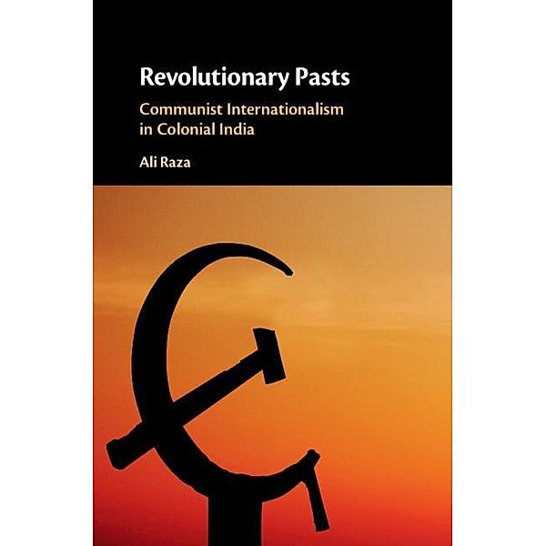 Revolutionary Pasts, Ali Raza
