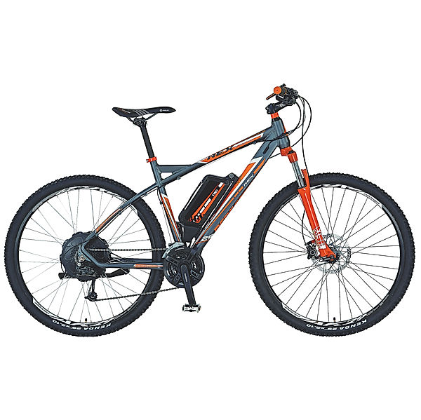 REX E-Bike Alu-MTB Twentyniner 29 Bergsteiger 6.8