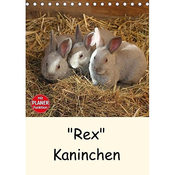 Rex Kaninchen (Tischkalender 2017 DIN A5 hoch), Anja Bagunk