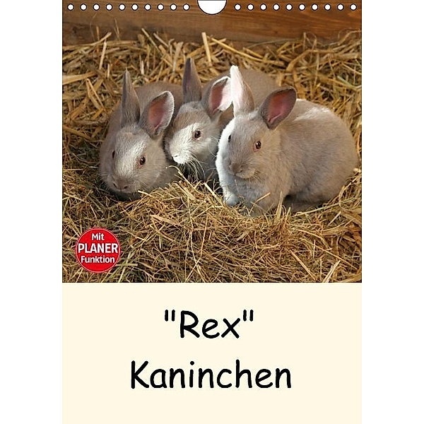 Rex Kaninchen (Wandkalender 2017 DIN A4 hoch), Anja Bagunk