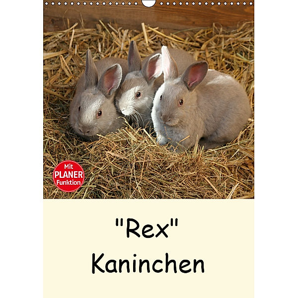 Rex Kaninchen (Wandkalender 2019 DIN A3 hoch), Anja Bagunk