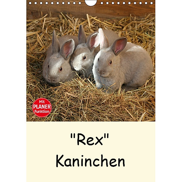 Rex Kaninchen (Wandkalender 2019 DIN A4 hoch), Anja Bagunk