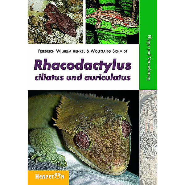 Rhacodactylus ciliatus und auriculatus, Friedrich W Henkel, Wolfgang Schmidt