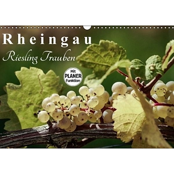 Rheingau - Riesling Trauben (Wandkalender 2016 DIN A3 quer), Dieter Meyer