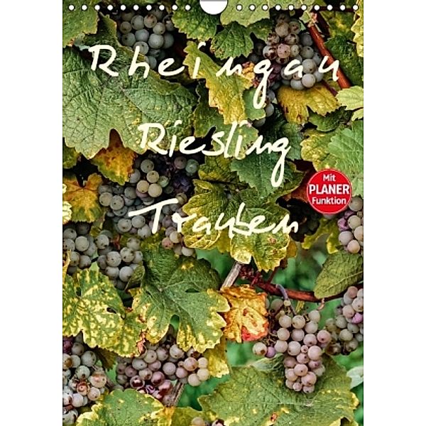 Rheingau - Riesling Trauben (Wandkalender 2016 DIN A4 hoch), Dieter Meyer