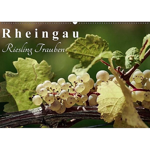 Rheingau - Riesling Trauben (Wandkalender 2017 DIN A2 quer), Dieter Meyer