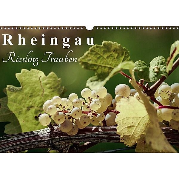 Rheingau - Riesling Trauben (Wandkalender 2017 DIN A3 quer), Dieter Meyer
