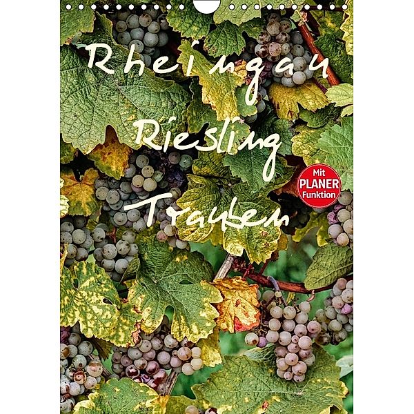 Rheingau - Riesling Trauben (Wandkalender 2018 DIN A4 hoch), Dieter Meyer