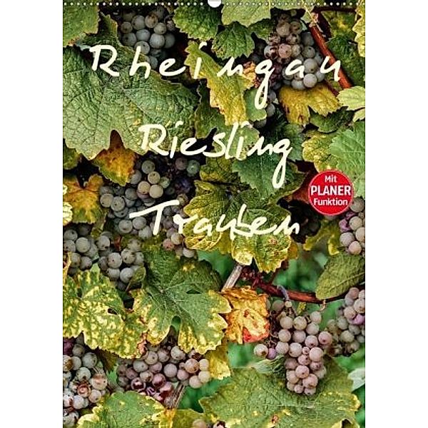 Rheingau - Riesling Trauben (Wandkalender 2020 DIN A2 hoch), Dieter Meyer