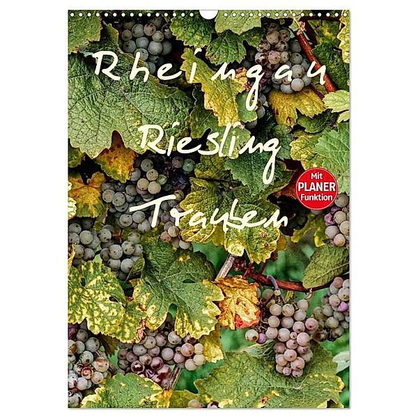 Rheingau - Riesling Trauben (Wandkalender 2024 DIN A3 hoch), CALVENDO Monatskalender, Dieter Meyer