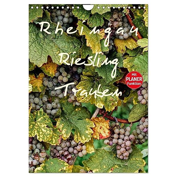 Rheingau - Riesling Trauben (Wandkalender 2024 DIN A4 hoch), CALVENDO Monatskalender, Dieter Meyer