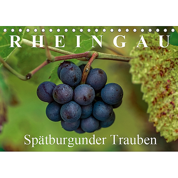 Rheingau - Spätburgunder Trauben (Tischkalender 2019 DIN A5 quer), Dieter Meyer