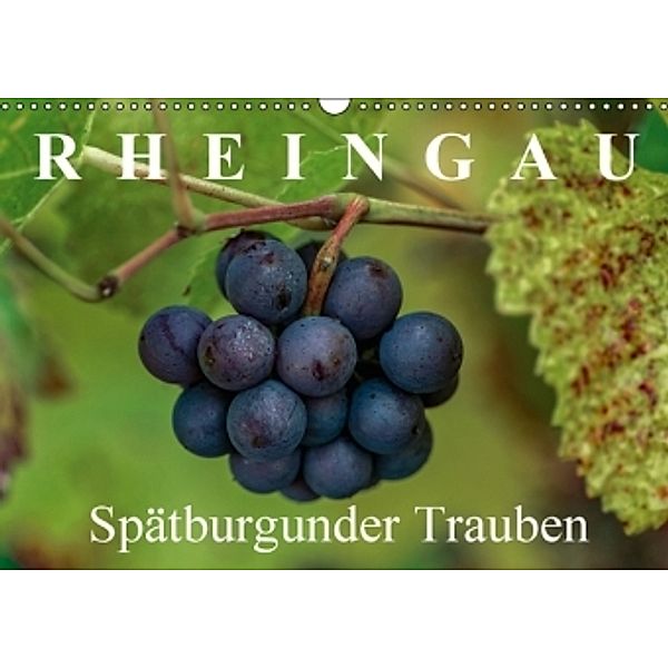 Rheingau - Spätburgunder Trauben (Wandkalender 2016 DIN A3 quer), Dieter Meyer