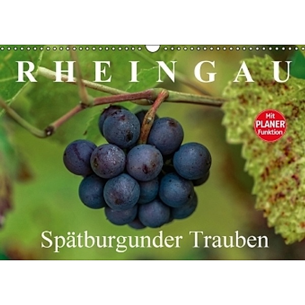 Rheingau - Spätburgunder Trauben (Wandkalender 2016 DIN A3 quer), Dieter Meyer