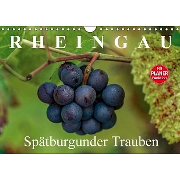 Rheingau - Spätburgunder Trauben (Wandkalender 2017 DIN A4 quer), Dieter Meyer