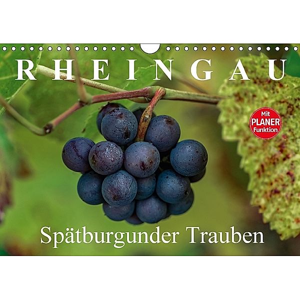 Rheingau - Spätburgunder Trauben (Wandkalender 2018 DIN A4 quer) Dieser erfolgreiche Kalender wurde dieses Jahr mit glei, Dieter Meyer