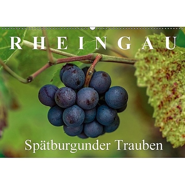 Rheingau - Spätburgunder Trauben (Wandkalender 2018 DIN A2 quer), Dieter Meyer