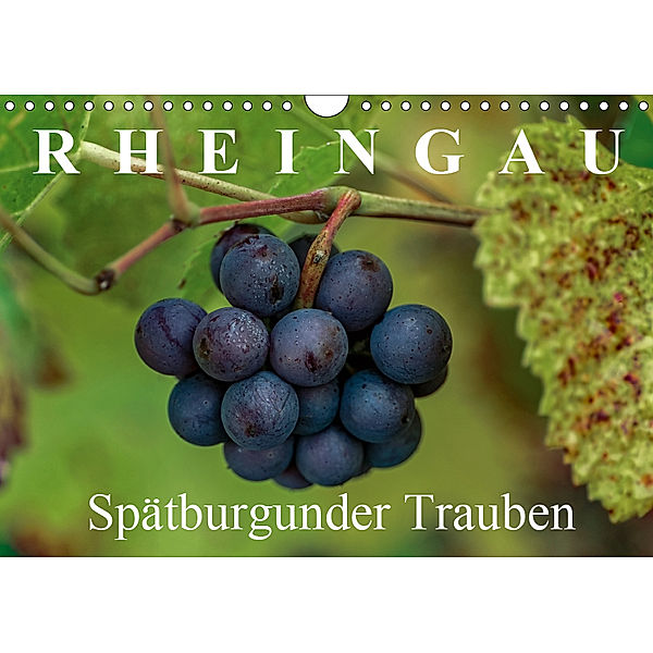 Rheingau - Spätburgunder Trauben (Wandkalender 2019 DIN A4 quer), Dieter Meyer