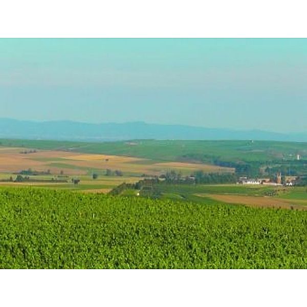 Rheinhessen - 2.000 Teile (Puzzle)