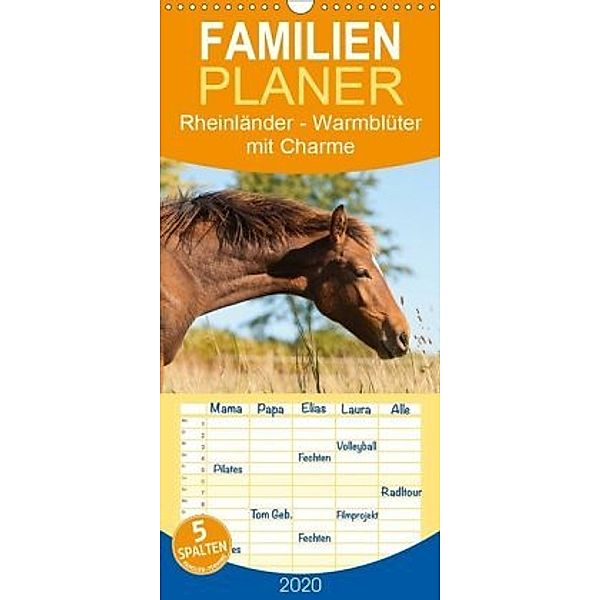 Rheinländer - Warmblüter mit Charme - Familienplaner hoch (Wandkalender 2020 , 21 cm x 45 cm, hoch), Meike Bölts