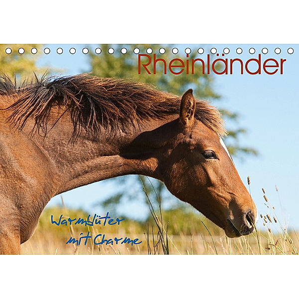 Rheinländer - Warmblüter mit Charme (Tischkalender 2019 DIN A5 quer), Meike Bölts