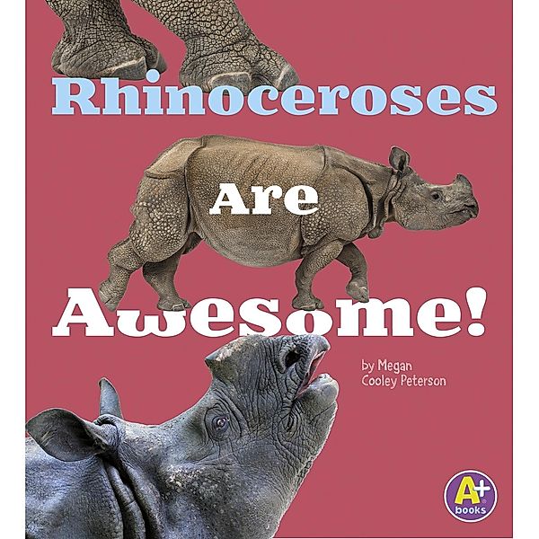 Rhinoceroses Are Awesome!, Allan Morey