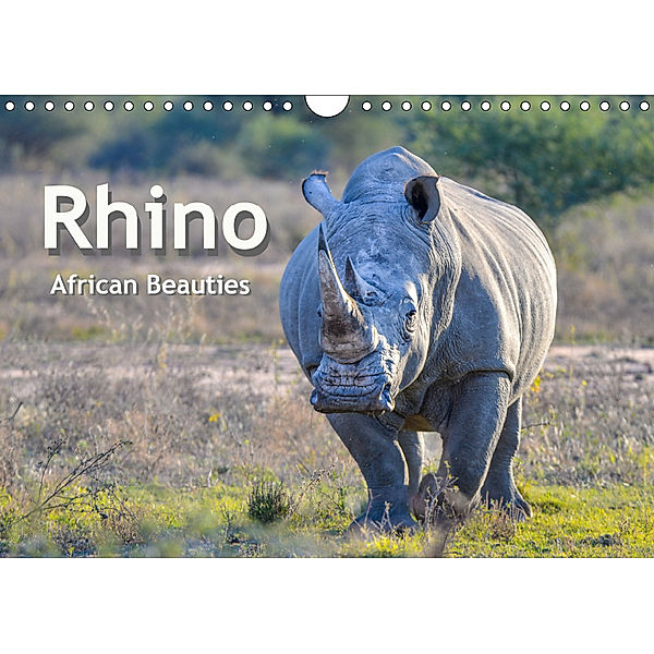 Rhinos, african beauties (Wall Calendar 2019 DIN A4 Landscape), ROBERT STYPPA