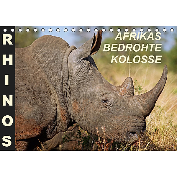 RHINOS - AFRIKAS BEDROHTE KOLOSSE (Tischkalender 2019 DIN A5 quer), Wibke Woyke