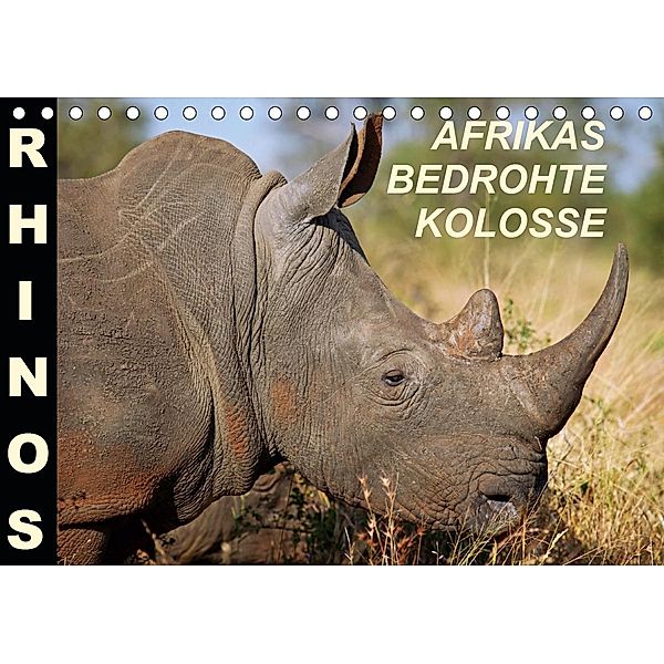 RHINOS - AFRIKAS BEDROHTE KOLOSSE (Tischkalender 2021 DIN A5 quer), Wibke Woyke