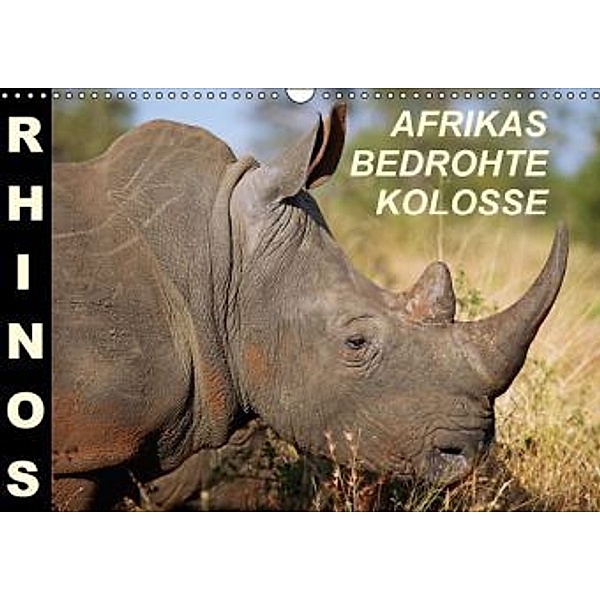 RHINOS - AFRIKAS BEDROHTE KOLOSSE (Wandkalender 2016 DIN A3 quer), Wibke Woyke