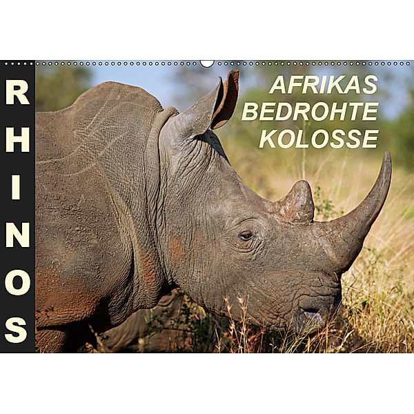 RHINOS - AFRIKAS BEDROHTE KOLOSSE (Wandkalender 2019 DIN A2 quer), Wibke Woyke