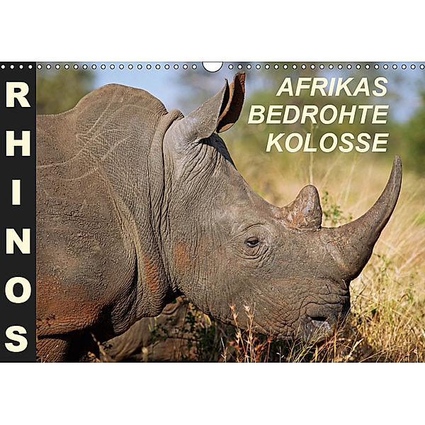 RHINOS - AFRIKAS BEDROHTE KOLOSSE (Wandkalender 2019 DIN A3 quer), Wibke Woyke
